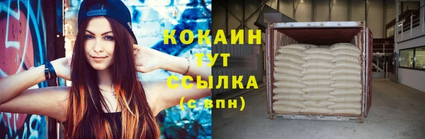 твердый Каменск-Шахтинский