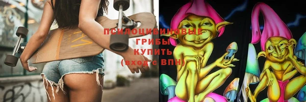 гидра Каменногорск