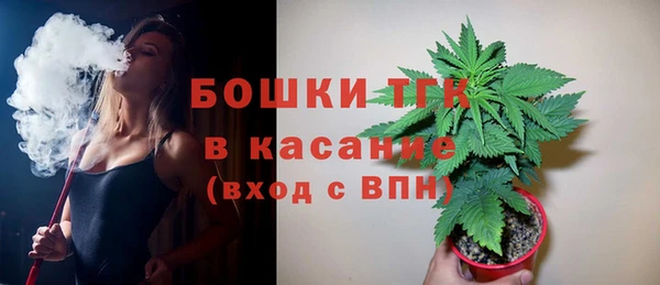 крисы Карпинск
