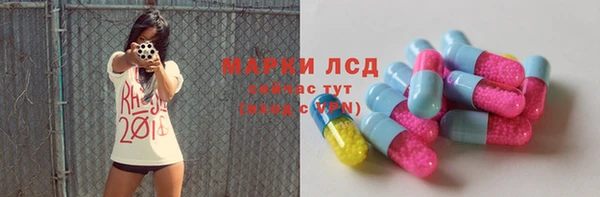 гидра Каменногорск