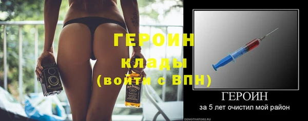 гидра Каменногорск