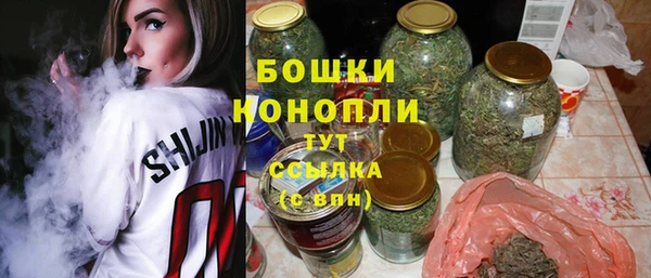 гидра Каменногорск