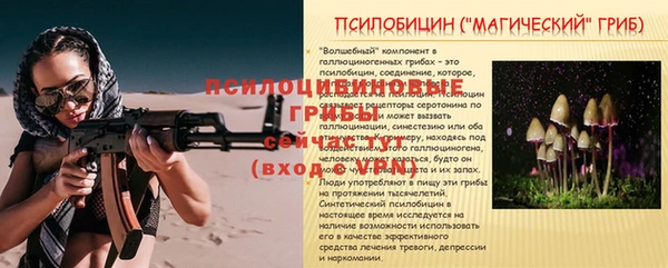 гидра Каменногорск