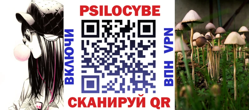 купить наркоту  Еманжелинск  OMG ссылки  Галлюциногенные грибы Psilocybe 
